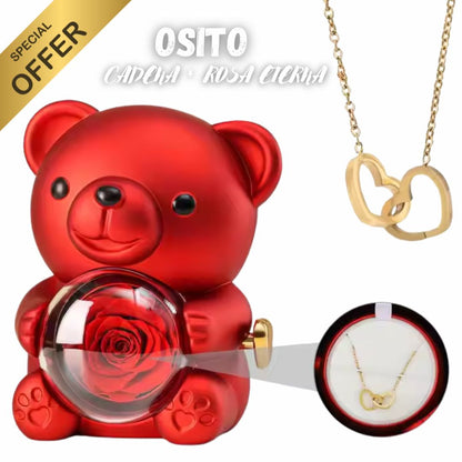 OSO CON ROSA ETERNA + CADENA CORAZONES